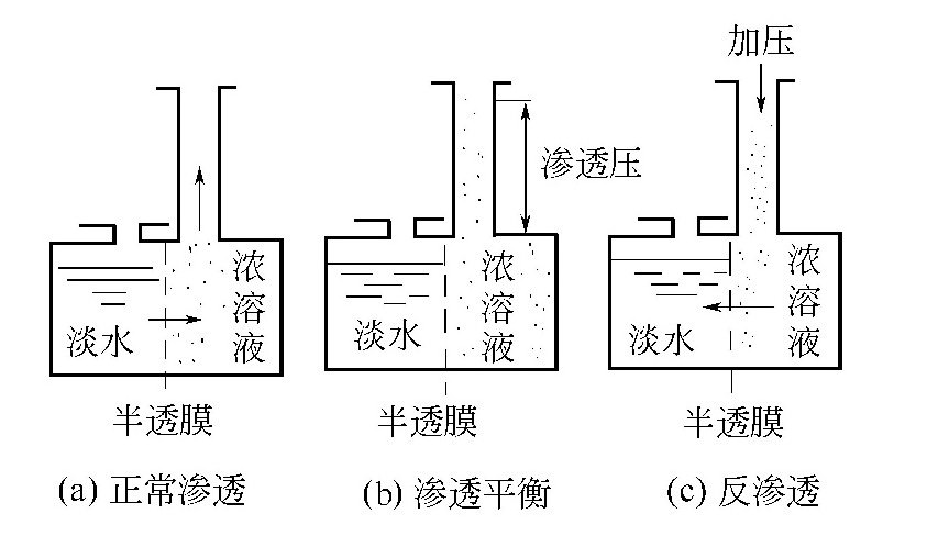 反渗透膜除盐原理