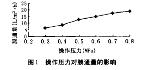 纳滤膜，废水渗透液，COD，去除效果