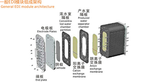 EDI模块,内部结构图片